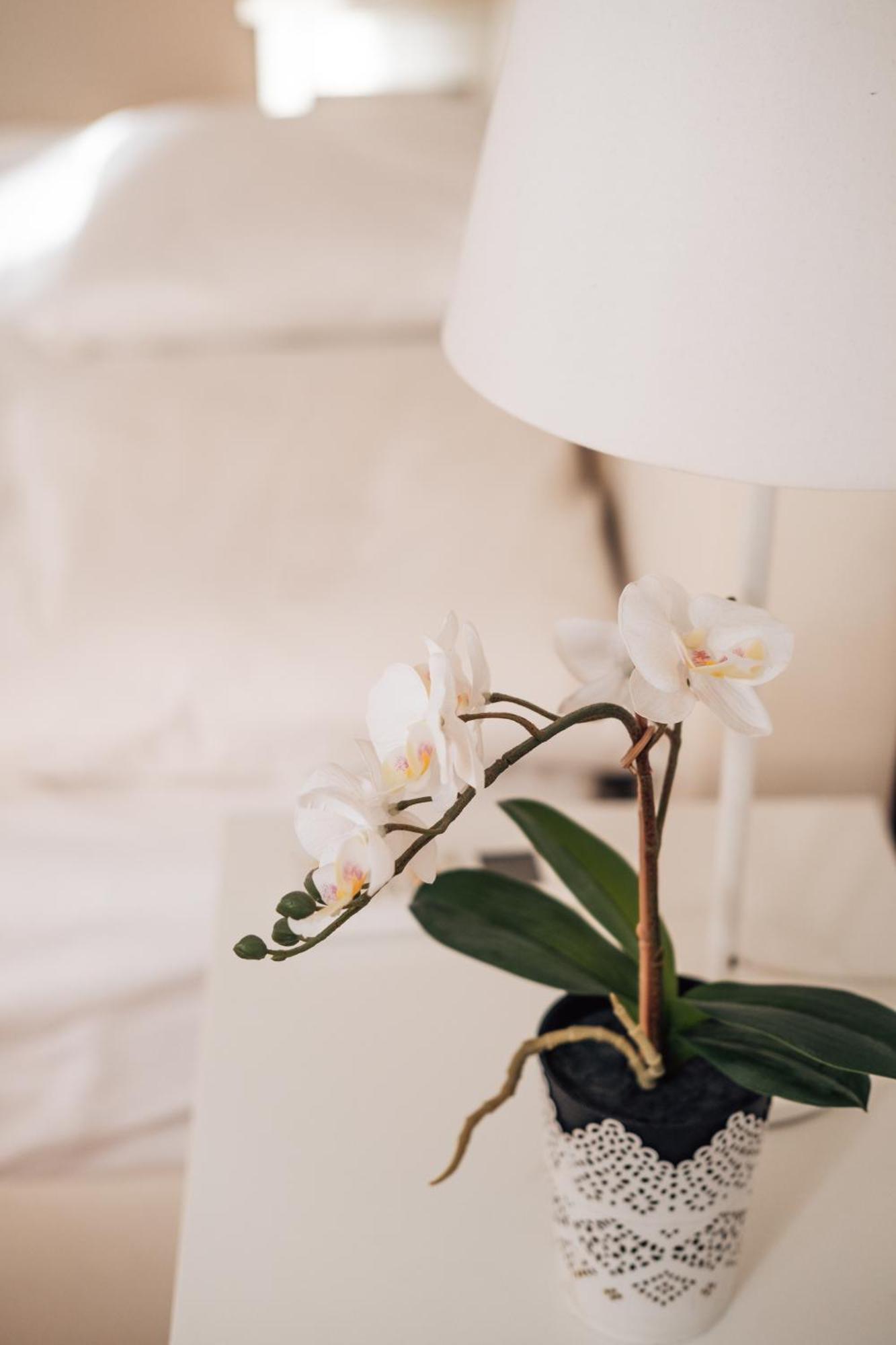 Crown Central Three Bedroom Apartment Beograd Bagian luar foto